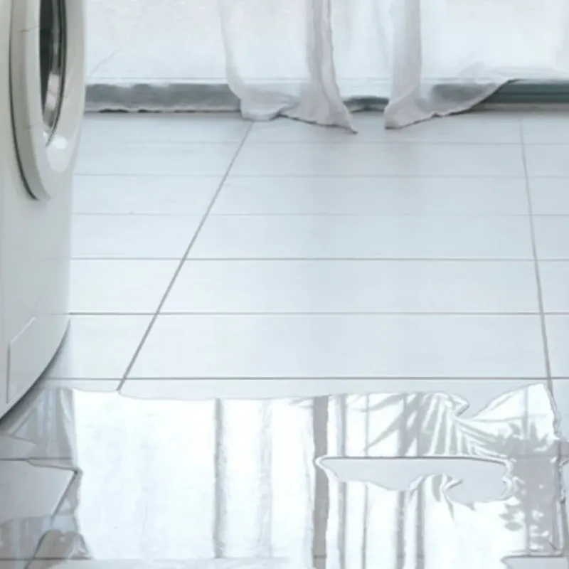 Appliance Leak Cleanup in North Miami, FL